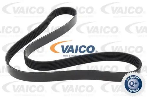 пистов ремък VAICO V24-1209