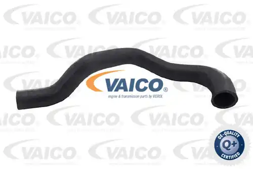 маркуч на радиатора VAICO V25-2577