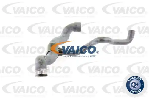 маркуч на радиатора VAICO V30-1660