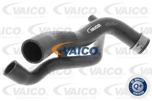 маркуч на радиатора VAICO V30-1769