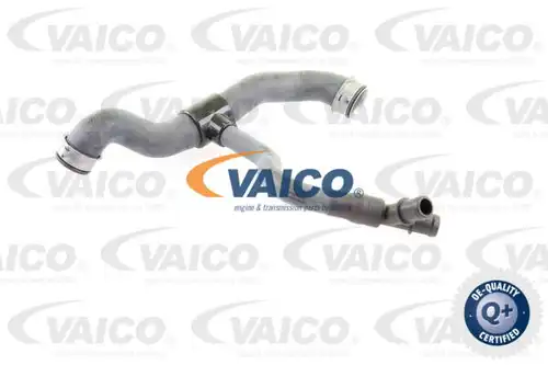 маркуч на радиатора VAICO V30-2231