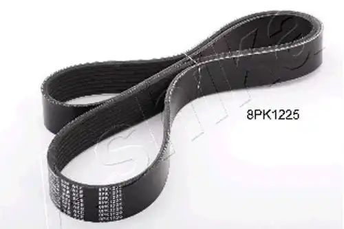 пистов ремък ASHIKA 112-8PK1225