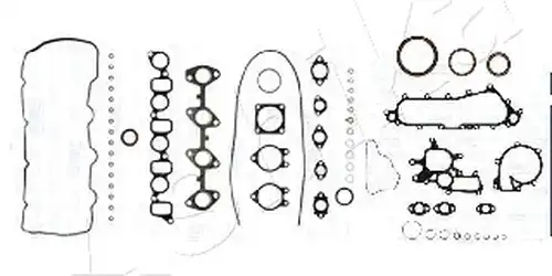 пълен комплект гарнитури, двигател ASHIKA 49-02-205