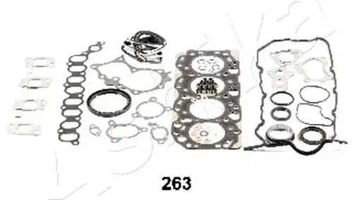 пълен комплект гарнитури, двигател ASHIKA 49-02-263