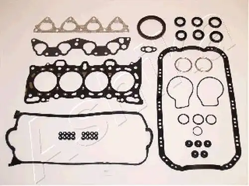 пълен комплект гарнитури, двигател ASHIKA 49-04-493