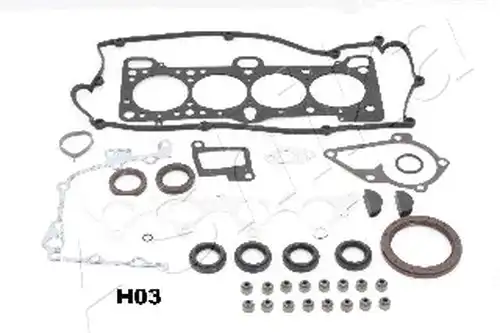 пълен комплект гарнитури, двигател ASHIKA 49-0H-H03