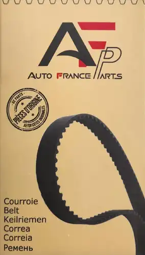 трапецовиден ремък AUTO FRANCE PARTS 45-100950