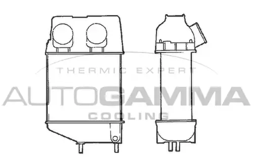 интеркулер (охладител за въздуха на турбината) AUTOGAMMA 101475