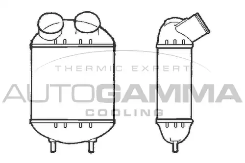 интеркулер (охладител за въздуха на турбината) AUTOGAMMA 101476