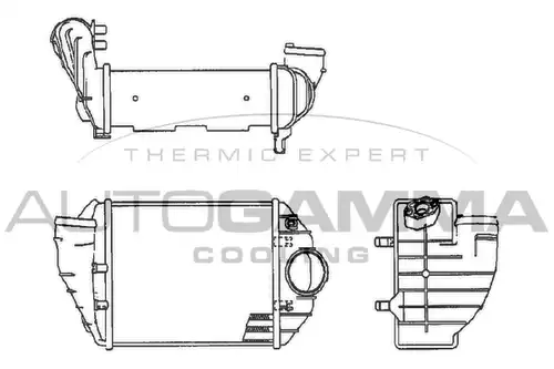 интеркулер (охладител за въздуха на турбината) AUTOGAMMA 102535