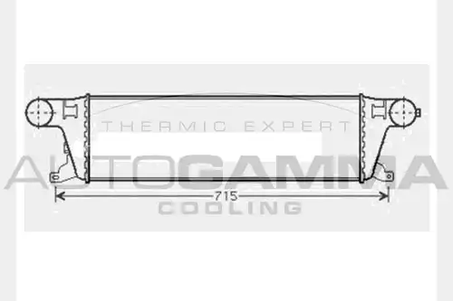 интеркулер (охладител за въздуха на турбината) AUTOGAMMA 104485