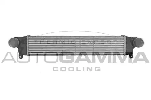 интеркулер (охладител за въздуха на турбината) AUTOGAMMA 107312