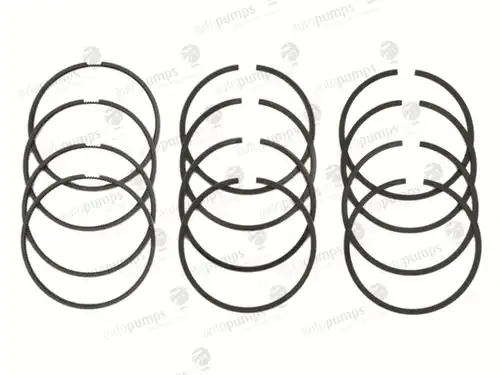 комплект сегменти Autopumps UK A2049