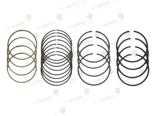 комплект сегменти Autopumps UK A2050