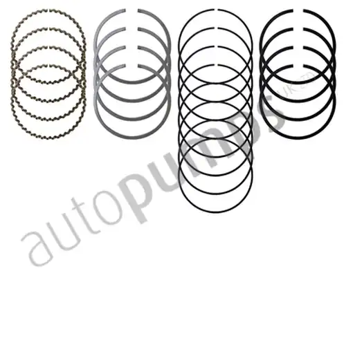 комплект сегменти Autopumps UK A4740