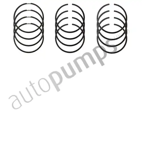 комплект сегменти Autopumps UK A4770