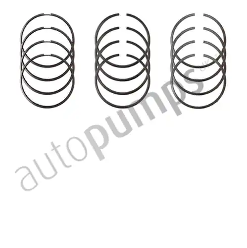 комплект сегменти Autopumps UK A4820