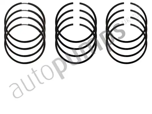 комплект сегменти Autopumps UK A5302