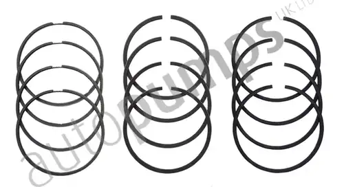 комплект сегменти Autopumps UK A6192
