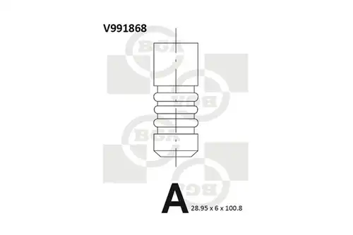 изпускателен клапан BGA V991868