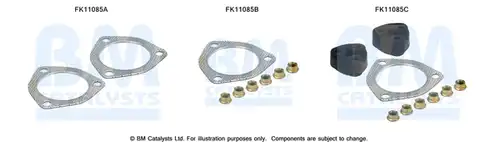  BM CATALYSTS FK11085