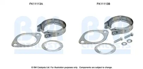  BM CATALYSTS FK11113