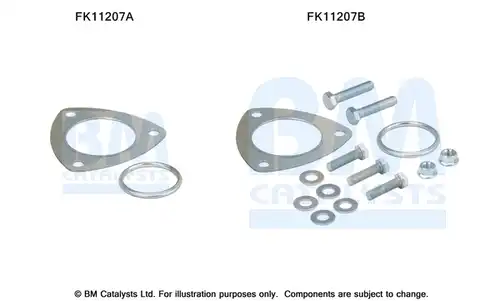  BM CATALYSTS FK11207