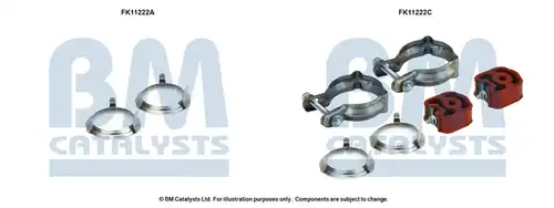  BM CATALYSTS FK11222