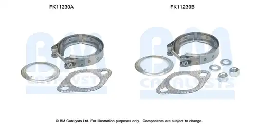  BM CATALYSTS FK11230