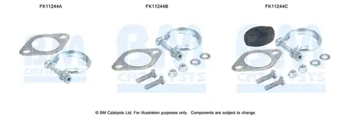  BM CATALYSTS FK11244