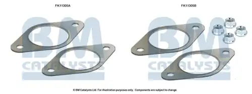  BM CATALYSTS FK11305