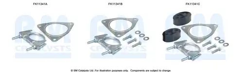  BM CATALYSTS FK11341