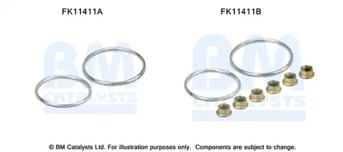  BM CATALYSTS FK11411