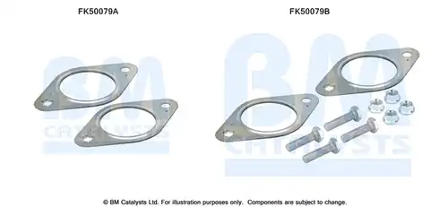  BM CATALYSTS FK50079