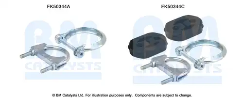  BM CATALYSTS FK50344