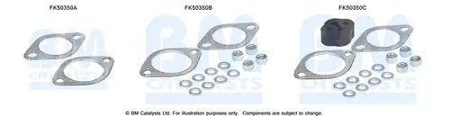  BM CATALYSTS FK50350