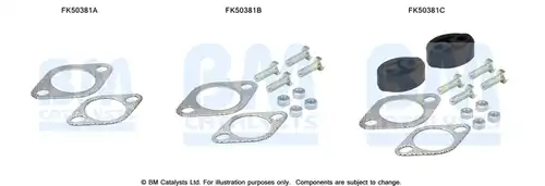  BM CATALYSTS FK50381