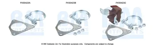  BM CATALYSTS FK50423