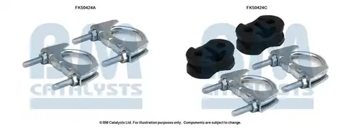  BM CATALYSTS FK50424