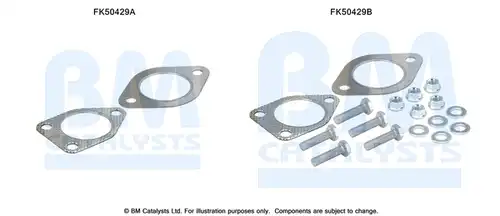  BM CATALYSTS FK50429