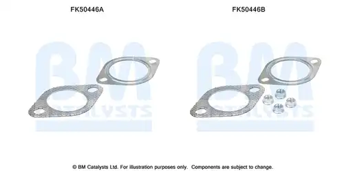  BM CATALYSTS FK50446