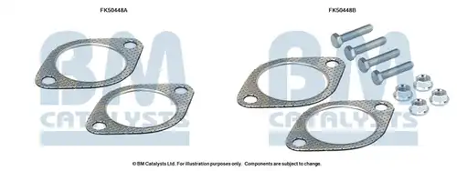  BM CATALYSTS FK50448