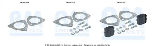  BM CATALYSTS FK50484