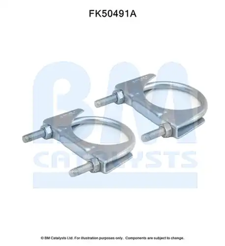  BM CATALYSTS FK50491