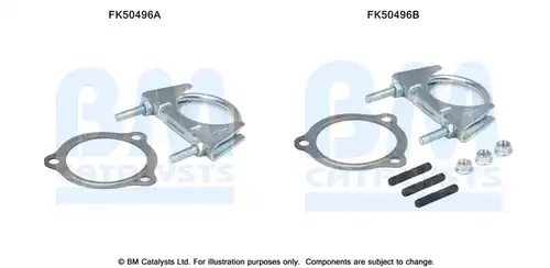  BM CATALYSTS FK50496