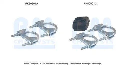  BM CATALYSTS FK50501