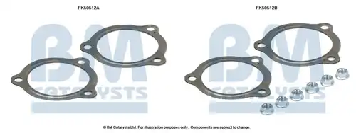  BM CATALYSTS FK50512