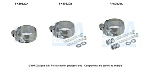  BM CATALYSTS FK50529