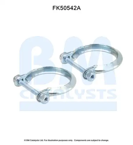  BM CATALYSTS FK50542