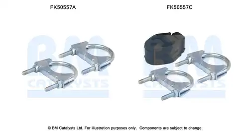  BM CATALYSTS FK50557